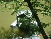 Дмитрий Ерохин фотография #16 (источник - https://vk.com/id77308762)