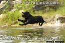 Иришка Венцова фотография #35 (источник - https://vk.com/id4664078)