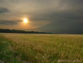 Антон Мищенко фотография #33 (источник - https://vk.com/id21482463)