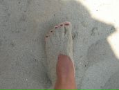 Фотография Алексеевой Екатерины