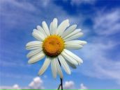 Space Shadow фотография #1