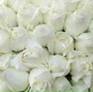 Алима Ибрагимова фотография #34 (источник - https://vk.com/id51221512)