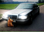 Фотография Тужилковой Анны