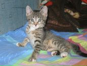 Фотография Огурцовой Алены