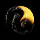 Фотография Волковой Алёны