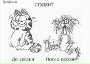 Фотография Кашина Ивана