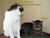 Фотография Николаевой Ульянки