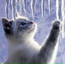 Фотография Сороченкова Евгения