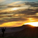 Фотография Фризе Александра