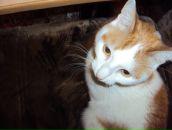 Фотография Кендзя Дмитрий