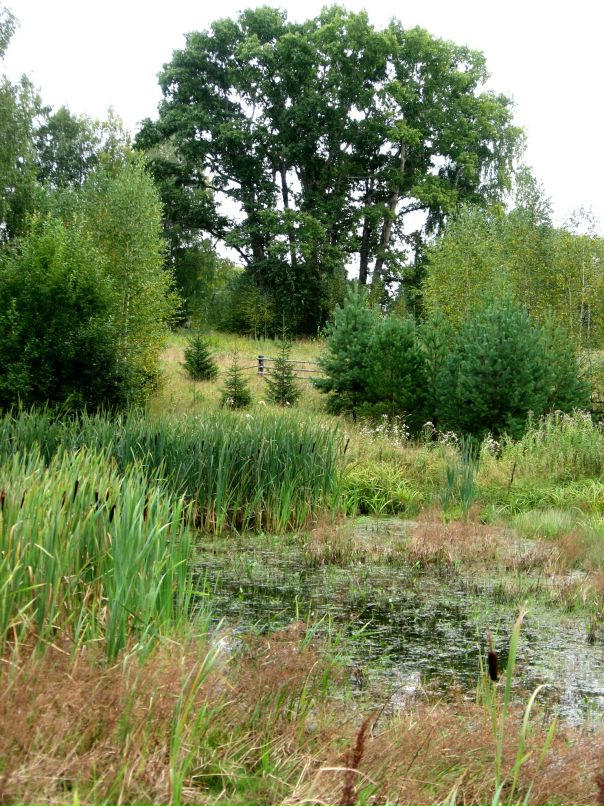 Дарья Дмитриева фотография #42