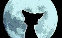 Фотография Нориной Ольги