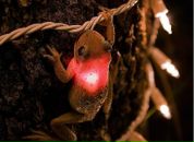 Фотография Смирнова Наташа