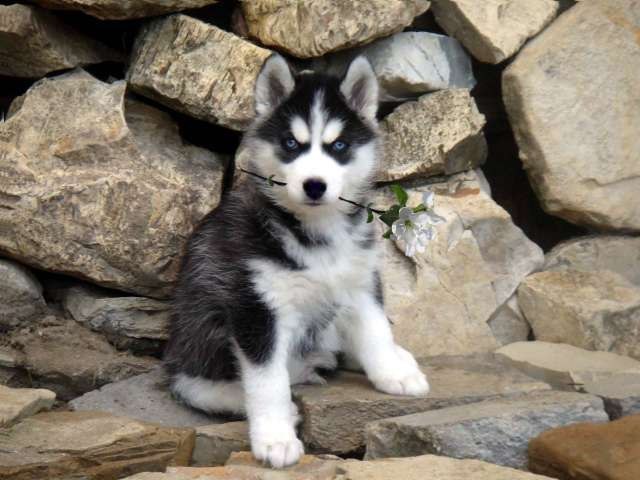 Сергей Камышенко фотография #30