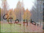 Рафаиль Ларин фотография #50 (источник - https://vk.com/id7996529)