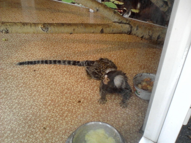 Айлан Тулуш фотография #39