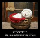 Фотография Дика Антона