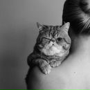 Мария Долотова фотография #22 (источник - https://vk.com/id2694246)