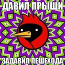 Катько Бирюкова фотография #10 (источник - https://vk.com/id26086263)