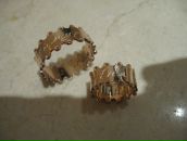 Фотография Ахмедова Тимура