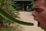 Alex Kuznechek фотография #46 (источник - https://vk.com/id561564)