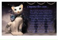 Фотография Бельдинской Дарьи