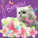 Фотография Сомовой Екатерины