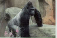 Фотография Иентш Марина