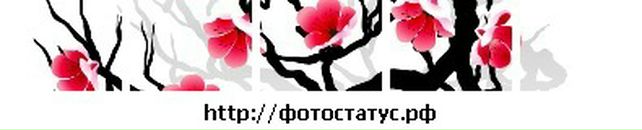 Віка Луць фотография #29 (источник - https://vk.com/id16653485)