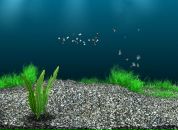 Віталік Бідочко фотография #12 (источник - https://vk.com/id103179026)