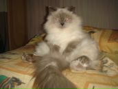 Фотография Дрёмовой Елены