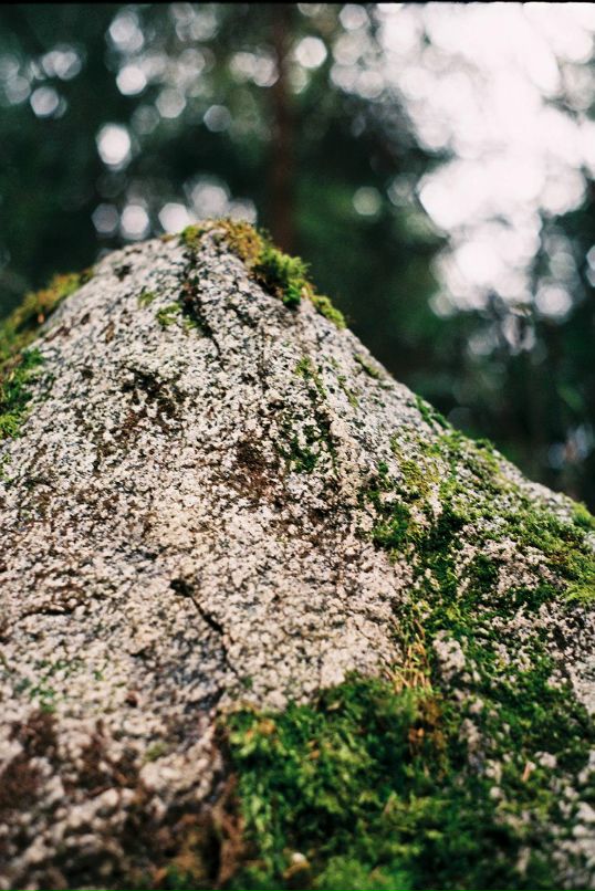 Alexey Lapin фотография #29