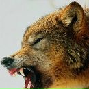 Юрій Слободяник фотография #2 (источник - https://vk.com/id165306444)