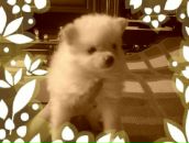 Фотография Адриановой Ксении