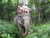 Фотография Остроменской Елены