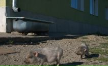 Aleksei Onischenko фотография #50 (источник - https://vk.com/id2246495)