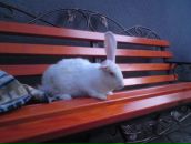 Міша Motsa фотография #5 (источник - https://vk.com/id52852421)