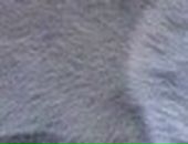 Лера Лоц фотография #4 (источник - https://vk.com/id57504657)