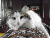 Фотография Мурсалимовой Лейлы