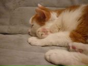 Фотография Бисовко Дарии