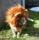 Фотография Малиной Алины