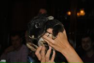 Фотография Алексеевой Катюшки