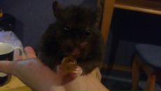 Фотография Сипачевой-Медведевой Ольги