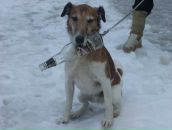 Семён Машковский фотография #12 (источник - https://vk.com/id461541)