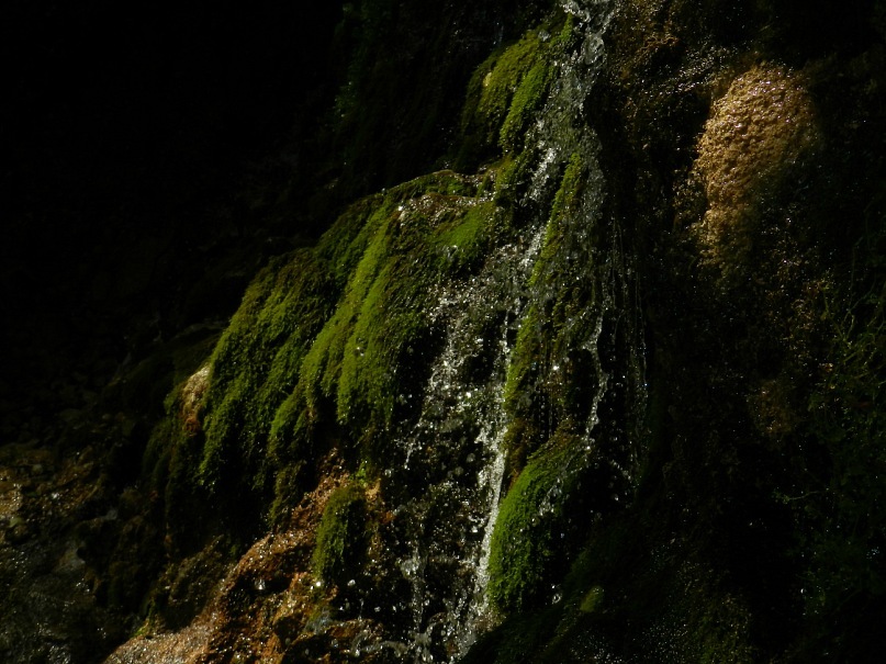 Дмитрий Толстых фотография #29