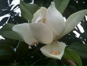 Мария Куриленко фотография #43 (источник - https://vk.com/id2772372)