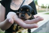 Іра Кондратюк фотография #35 (источник - https://vk.com/id23078807)