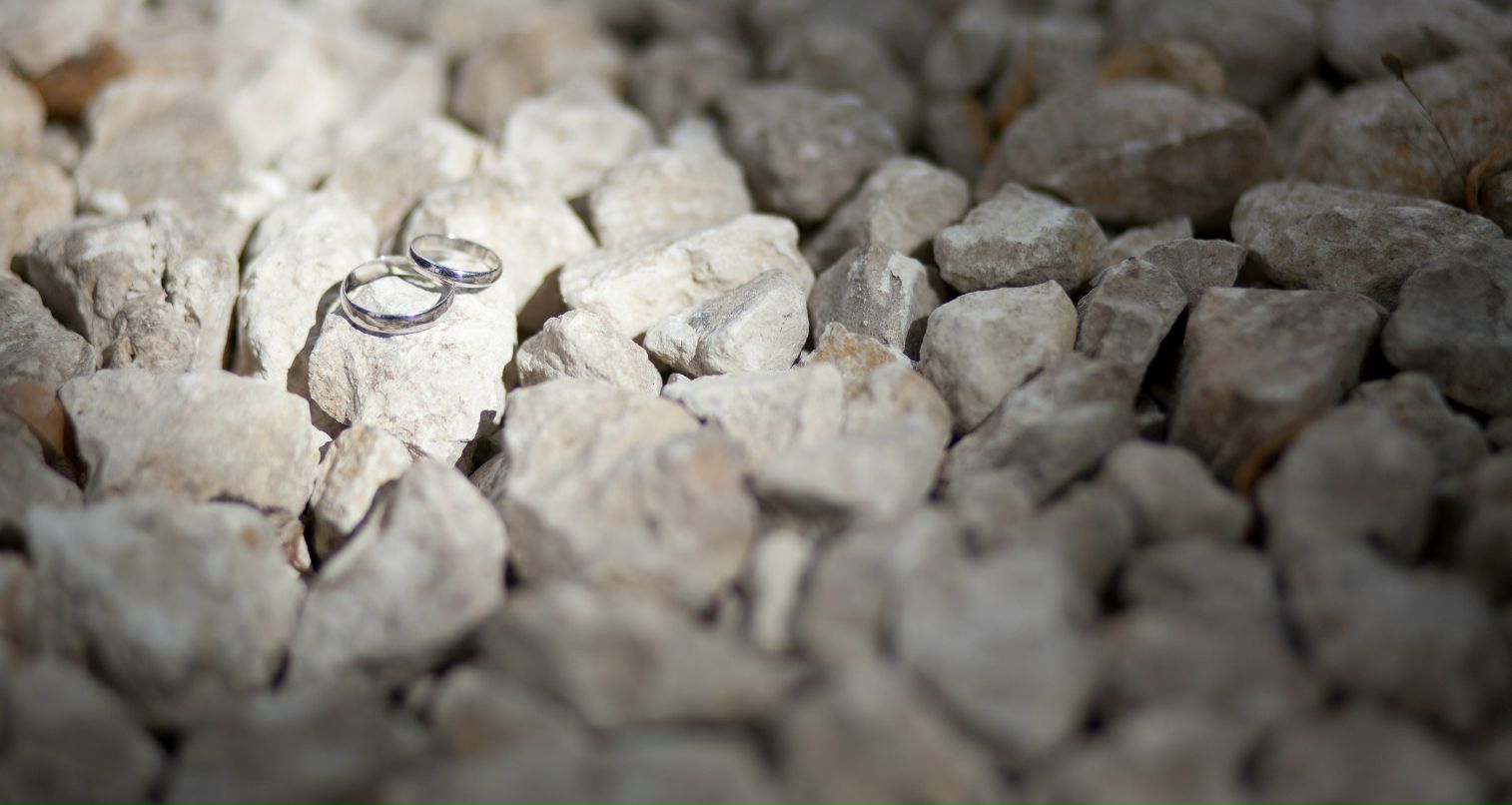 Денис Палицын фотография #47