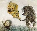 Фотография Гай Альфии