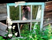 Фотография Фальш Костен